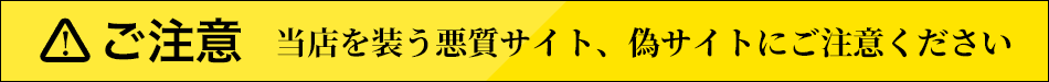 悪質注記